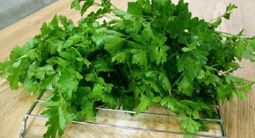 Jak doma správně uchovat petržel na zimu